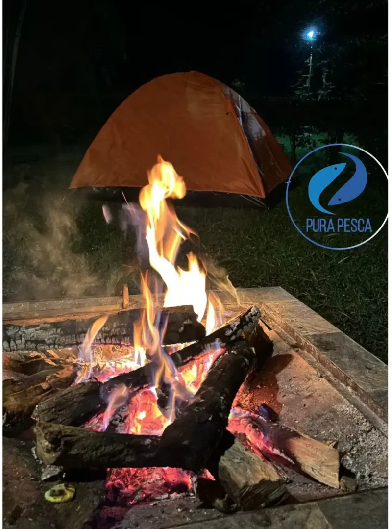 Safari Carpa Zimbawe 4 Personas
