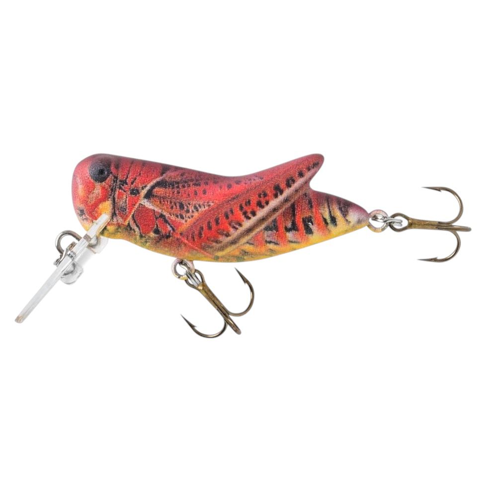 Rebel Crickhopper Grillo