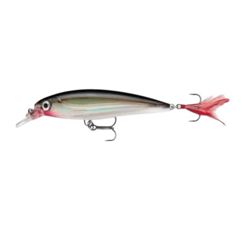 Rapala X-Rap - 10 cm, S Silver